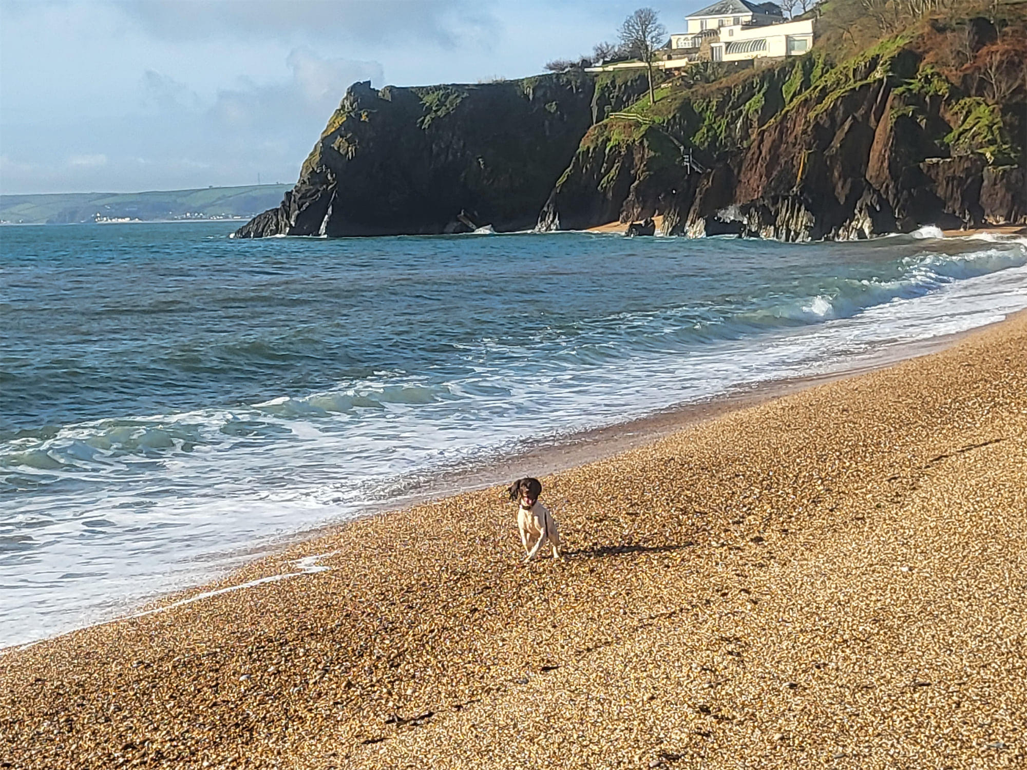 Dartmouth Beach Holidays